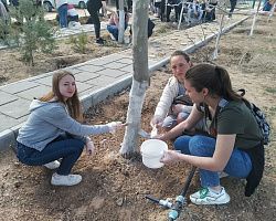 Студенты Лиманского филиала АГПК приняли участие в патриотической акции по высадке деревьев на Аллее Защитников Отечества в п. Лиман