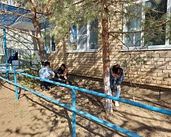 В Лиманском филиале колледжа начались весенние субботники