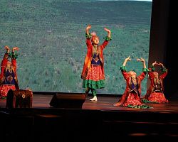 В АГПК состоялся концерт, посвященный Дню народного Единства!