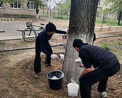 Студенты Лиманского филиала АГПК приняли участие во Всероссийском субботнике