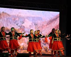 В АГПК состоялся концерт, посвященный Дню народного Единства!